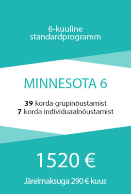 Minnesota6-programmi -hind